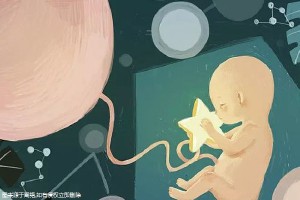 Geri培养箱